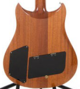 PG 8499 - 70: ELECTRA 1980 MPC OUTLAW X-720 BACKPLATE SET SINGLE PLY BLACK