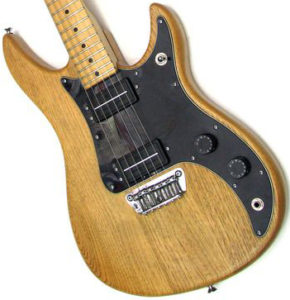 PG 15802 - 8: Peavey Patriot Guitar BWB